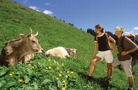 hotel edelweiss pfunds tirol wandern